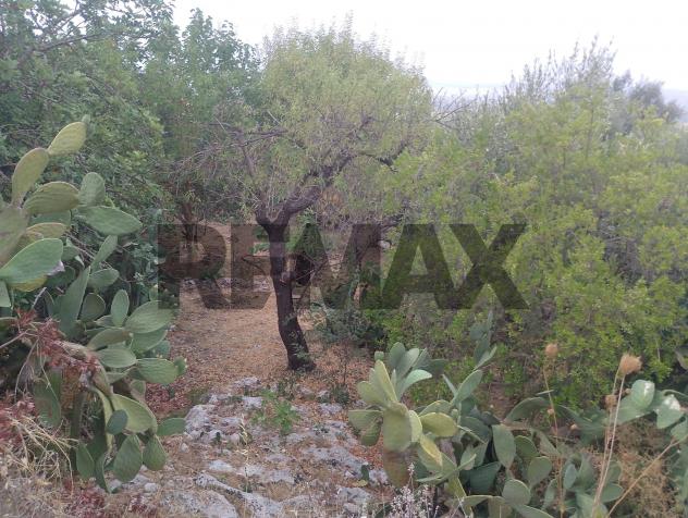 Terreno in vendita a Siracusa, Belvedere - Foto 6