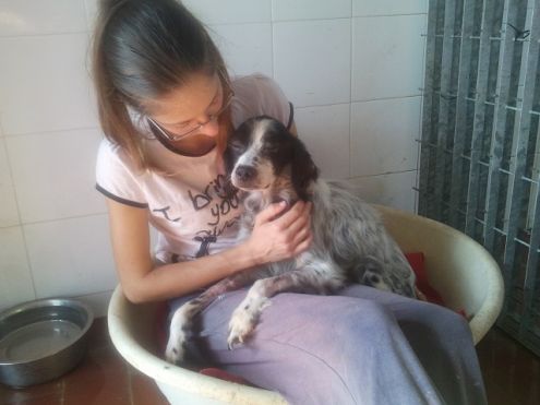 CUORE, adozione speciale - Foto 5