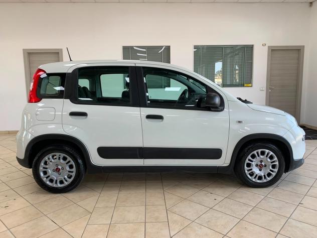 Fiat Panda 1.0 FireFly S Hybrid *IVA DEDUCIBILE* - Foto 4
