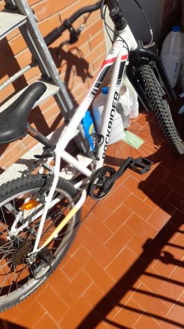 bicicletta