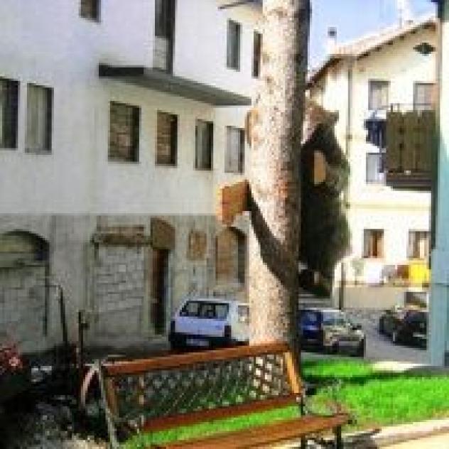 Fides di Bethaz Silvana Ved. Thedy & C. S.a.s. - Foto 3