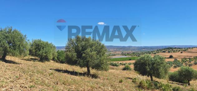 Terreno in vendita a Noto - Foto 4