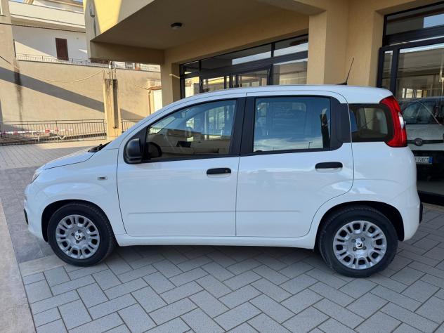 Fiat Panda 1.0 FireFly S&S Hybrid Icon - Foto 2