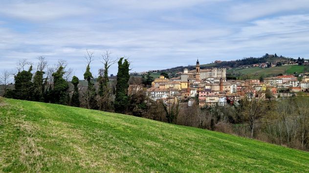 Costigliole d'Asti - vendo- - Foto 6