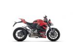 Ducati Streetfighter V2 Arrow Works Round Sil carbon end cup