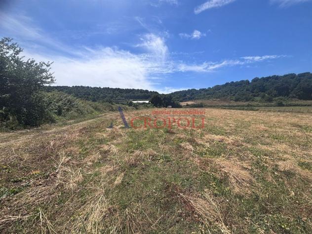 Terreno Agricolo - Rif. 2672 - Foto 4