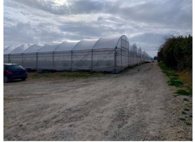 Immobile in asta di 49 m² in vendita a Noto - Foto 12