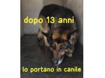 TREVOR PASTORE TEDESCO 13 ANNI
