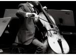 Violoncellista Iseo