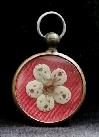 ANTICA AUTENTICA RELIQUIA A MEDAGLIA DI SAN GIUSEPPE COTTOLENGO. - Foto 7