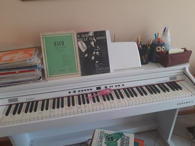 Lezioni Di ,Musica,Pianoforte, Flauto e,Xilofono!!
