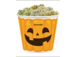 Halloween Scare Kit 18g