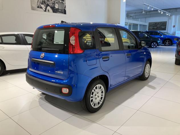 FIAT Panda 1.0 FireFly 70cv S&S Hybrid Icon vari colori - Foto 6