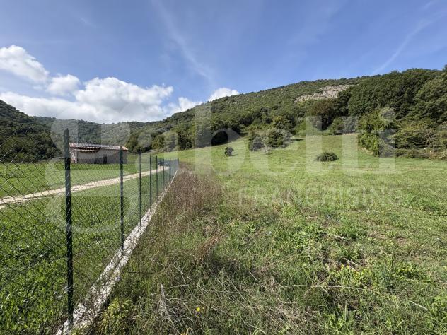 Terreno Agricolo - Segni . Rif.: Cod. rif 3261218VCG - Foto 2