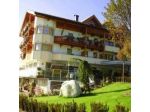 Bacherhof Ohg Des Pichler Anton & Co.