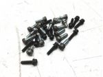 HONDA HORNET 600 SERIE COMPLETA VITI BULLONERIA CARBURATORE 2001 PC36A02F