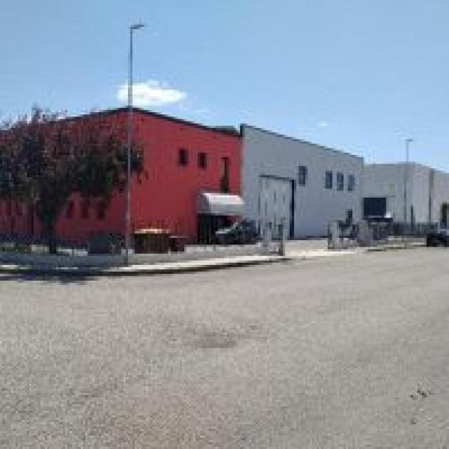 Soiltecno - Foto 3