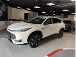 MG HS HS 1.5 hybrid+ Luxury auto