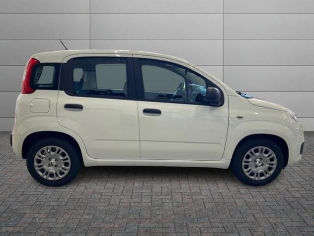 FIAT Pandina Pandina Pop rif. 23484115 - Foto 3