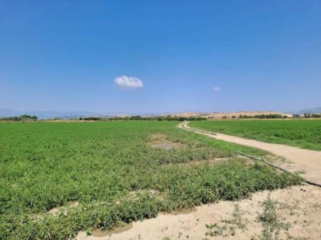 Immobile in asta di 19410 m² in vendita a Crotone - Foto 9