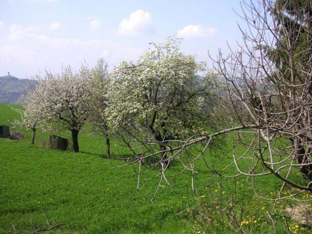 Rustico in vendita a Murazzano - Foto 15