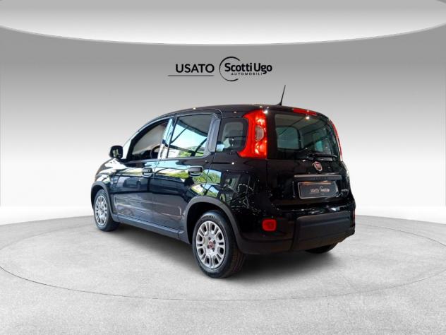 FIAT Panda III 2021 1.0 firefly hybrid s&s 70cv - Foto 6