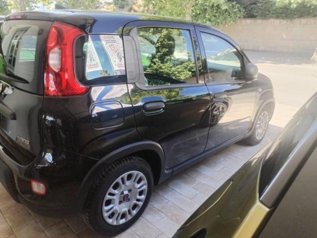 Fiat Panda 1.0 FireFly S&S Hybrid - Foto 5