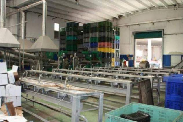 Immobile in asta di 20000 m² in vendita a Cervinara - Foto 14