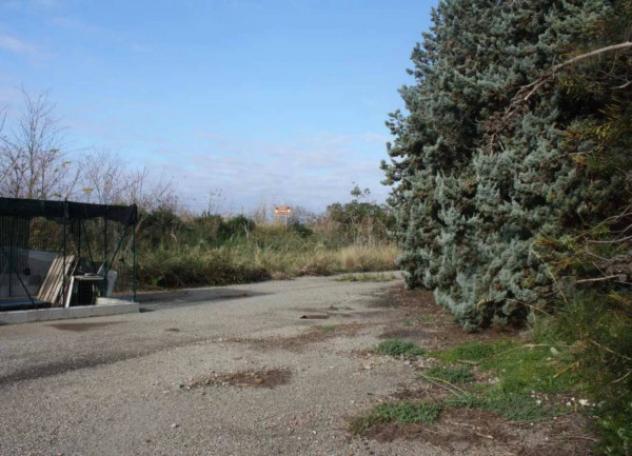 Immobile in asta di 645 m² in vendita a Cetraro - Foto 4