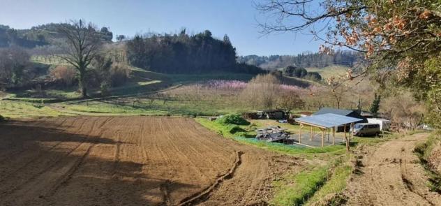 Casale in vendita a Usigliano - Casciana Terme Lari 305 mq Rif: 1411326 - Foto 5