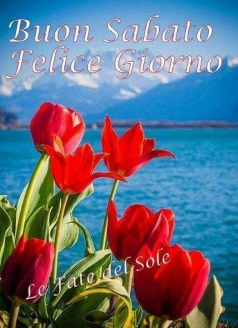 Mettere su una Champagneria