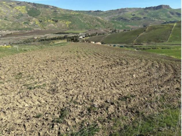 Immobile in asta di 31288 m² in vendita a Castronovo di Sicilia - Foto 3