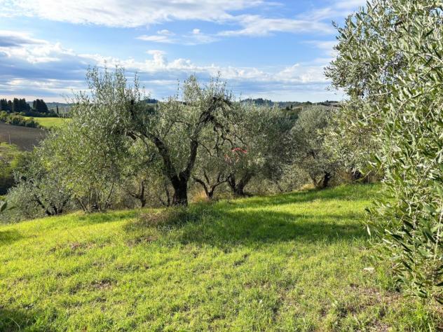 Terreno agricolo in vendita a Martignana - Empoli 5300 mq Rif: 1351258 - Foto 6