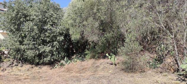 Agricolo in vendita a Misterbianco - Foto 7