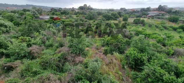 Terreno in vendita a Misterbianco - Foto 10