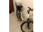 Bicicletta elettrica