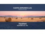 Immobile in asta di 18400 m² in vendita a Castelgerundo