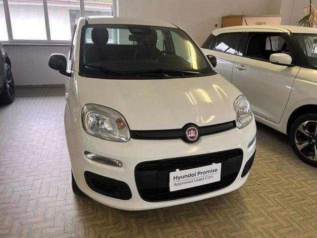 FIAT Pandina 1.0 FireFly 65 CV Hybrid Icon rif. 24205425 - Foto 2