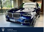 BMW X5 G05 xdrive 40d mhev 48V auto rif. 23619167