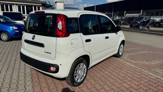 FIAT Pandina 1.0 FireFly Hybrid 65cv POP KMO rif. 23669471 - Foto 7