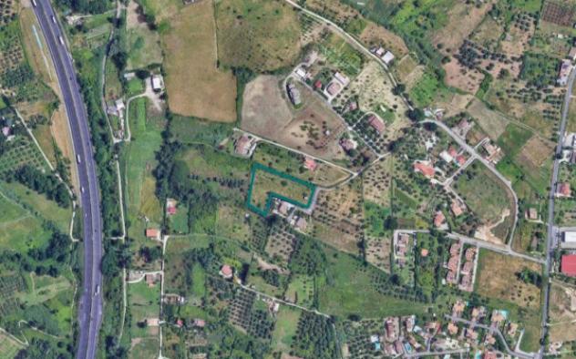 Immobile in asta di 50 m² in vendita a Sant'Angelo Romano - Foto 5