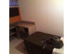 Bed And Breakfast delle Arti