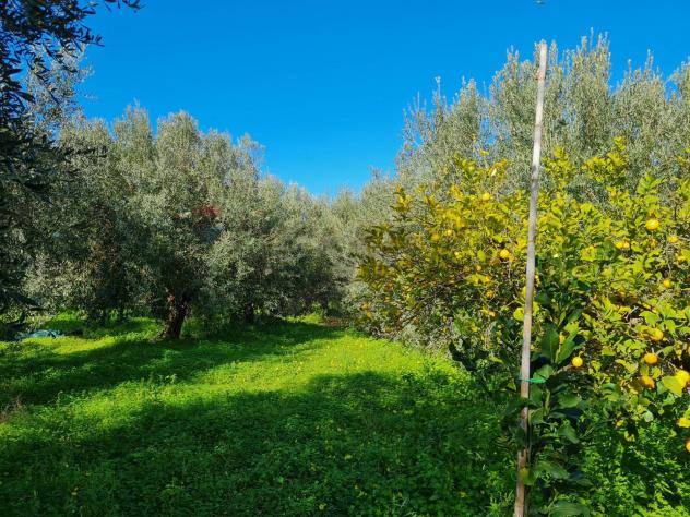 Terreno in vendita a Lentini - Foto 2