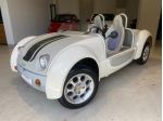 Altro Altro ACREA ZEST QUADRICICLO SPIDER