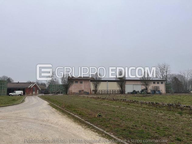 Fabbricati per attività agricole in vendita a Morgano - Rif. 4554118 - Foto 3