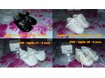 scarpe da bambina da 3 mesi a 5 anni