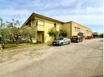 CAPANNONE di 3 vani e di 630 mq (GROSSETO - Grosseto) rif. CI.V.S.C.U.
