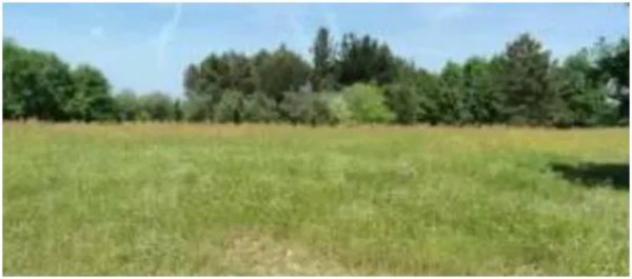 Immobile in asta di 36620 m² in vendita a Fucecchio - Foto 18