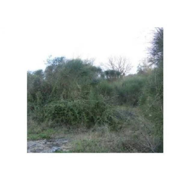 Immobile in asta di 676 m² in vendita a Bettona - Foto 2