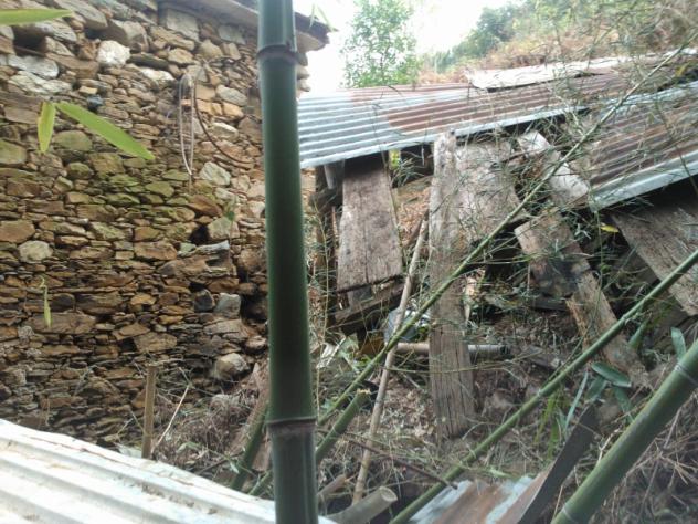 Collina di Pietrasanta-Rustico da ristrutturare con terreno Panoramico vista mare - Foto 4